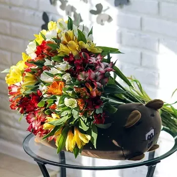 FLORPRO 25 Альстромерий микс