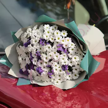 FLORPRO 25 белых хризантем "Сантини" со статицей в дизайнерской упаковке