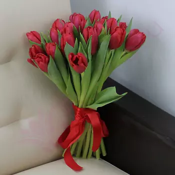 FLORPRO 25 красных тюльпанов