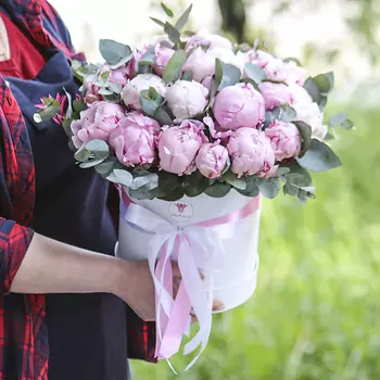 FLORPRO 25 пионов Сара Бернар с эвкалиптом в коробке