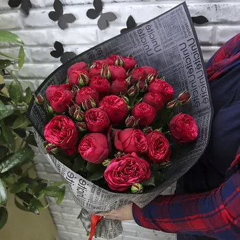 FLORPRO 25 пионовидных роз Ред Пиано в дизайнерской упаковке