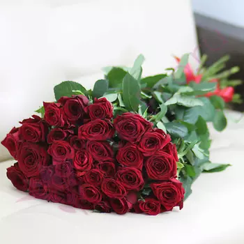 FLORPRO 35 красных роз Ред Наоми 80 см