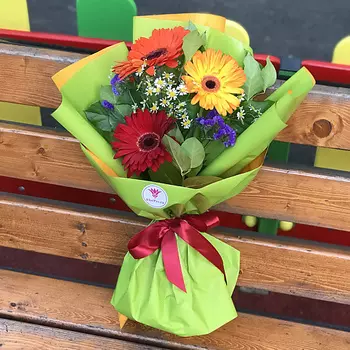 FLORPRO 3 герберы микс с ромашкой в упаковке