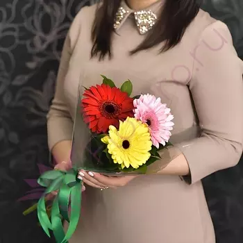 FLORPRO 3 герберы микс в пленке (мин. заказ от 10 шт)