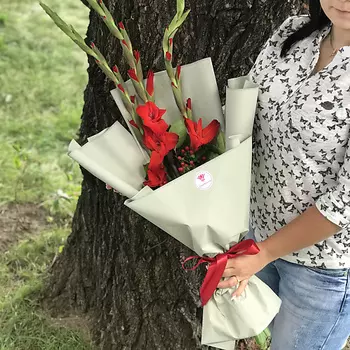 FLORPRO 3 красных гладиолуса в дизайнерской упаковке