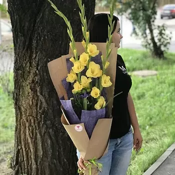 FLORPRO 3 желтых гладиолуса в дизайнерской упаковке