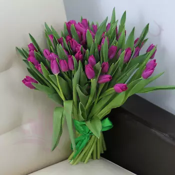 FLORPRO 51 фиолетовый тюльпан
