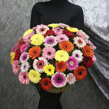 FLORPRO 51 гербера микс в корзине