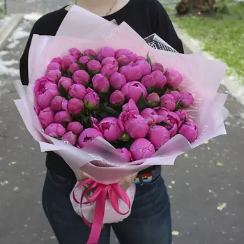 FLORPRO 51 малиновый пион в дизайнерской упаковке