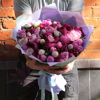 FLORPRO 51 пион микс в дизайнерской упаковке