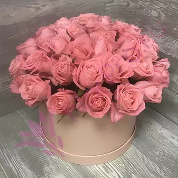 FLORPRO 51 роза Анна Карина в шляпной коробке