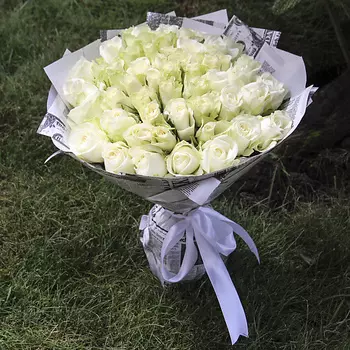 FLORPRO 51 роза МОНО №5 (Кения)