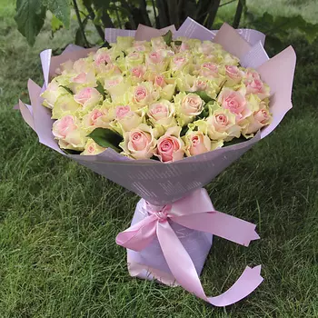 FLORPRO 51 роза МОНО №6 (Кения)