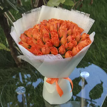 FLORPRO 51 роза МОНО №7