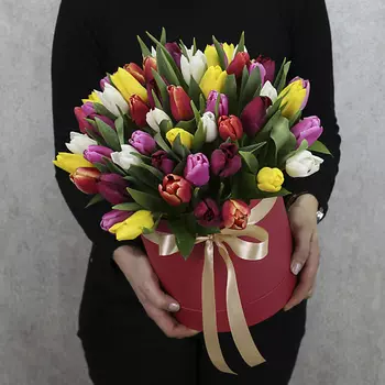 FLORPRO 51 тюльпан микс в коробке