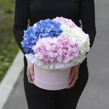 FLORPRO 5 гортензий микс в шляпной коробке