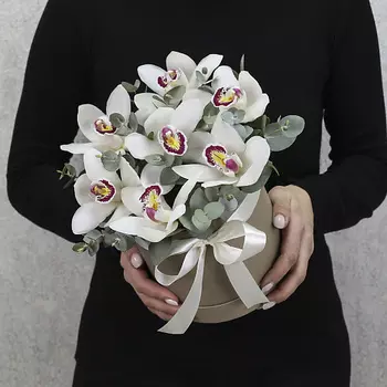 FLORPRO 7 белых орхидей с эвкалиптом в коробке "Бабочки мини"