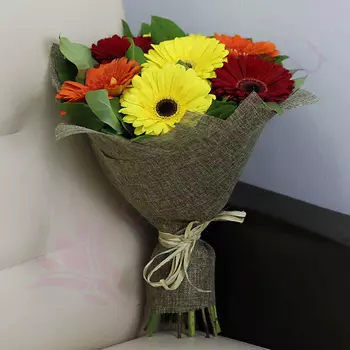 FLORPRO 7 гербер микс