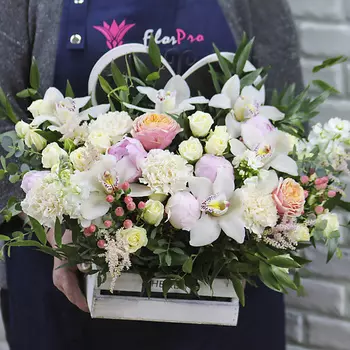 FLORPRO Бабочка