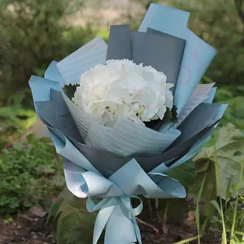 FLORPRO Белая гортензия в упаковке