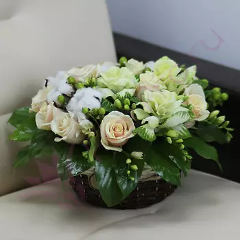 FLORPRO Белоснежка