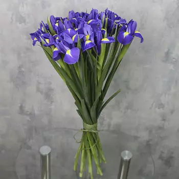 FLORPRO Букет «21 синий ирис»