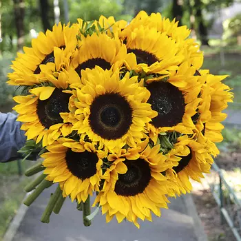 FLORPRO Букет подсолнухов Normal