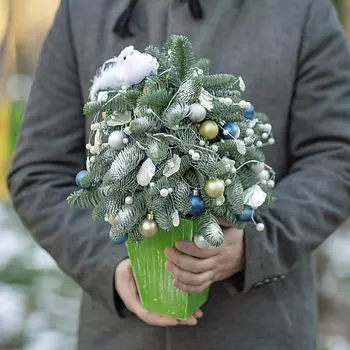 FLORPRO Ель домашняя