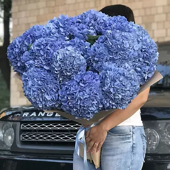 FLORPRO Голубое небо