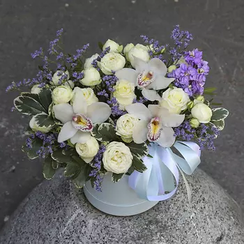 FLORPRO Коробка с цветами «Фрост»