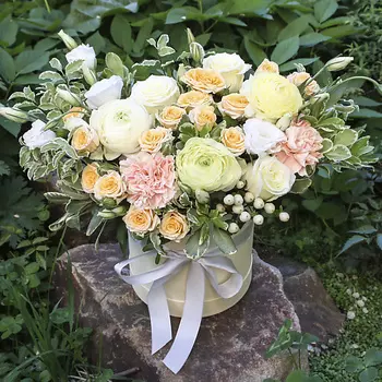 FLORPRO Коробка с цветами «Зефирка»