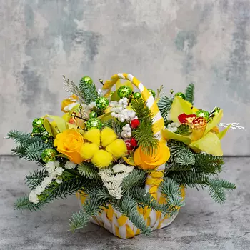 FLORPRO Корзина «Яркая зима»