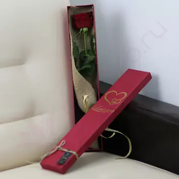 FLORPRO Красная роза в коробке