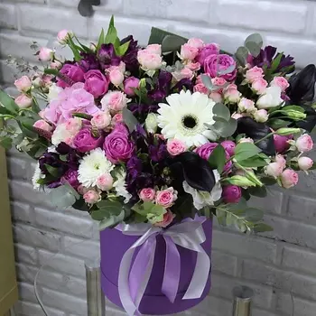 FLORPRO Лунная походка