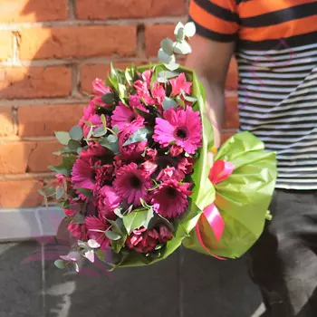 FLORPRO Малинка