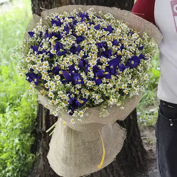 FLORPRO Полевой микс Mini