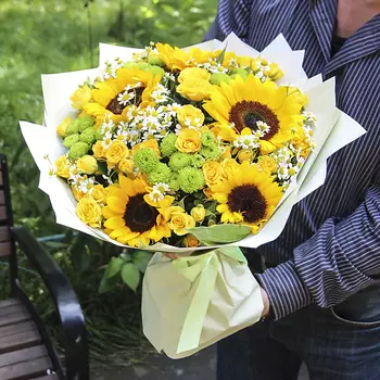 FLORPRO Солнечный зайчик Grand