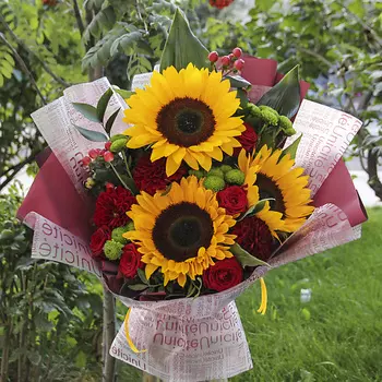 FLORPRO Три солнышка