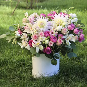 FLORPRO Василиса