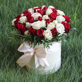 FLORPRO Восхищение