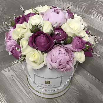 FLORPRO Воздушное облако