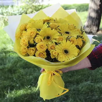 FLORPRO Яркая яркость