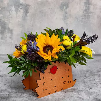 FLORPRO Ящик с цветами «Ежик»