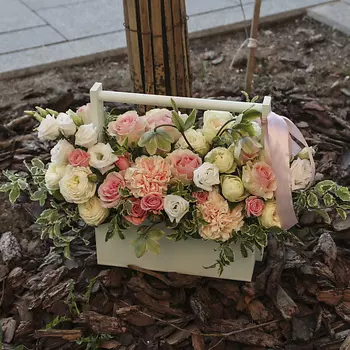 FLORPRO Ящик с цветами «Мисс Очарование»