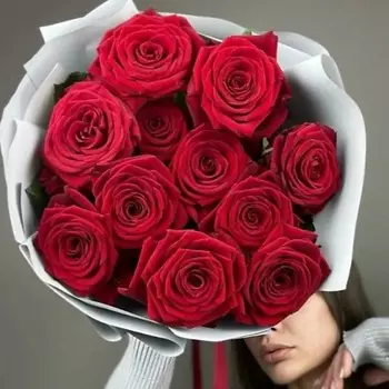 FLORY.ME 11 подмосковных бордовых роз