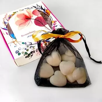 FRAGANCIA Ароматическое саше для белья "Пряный апельсин"