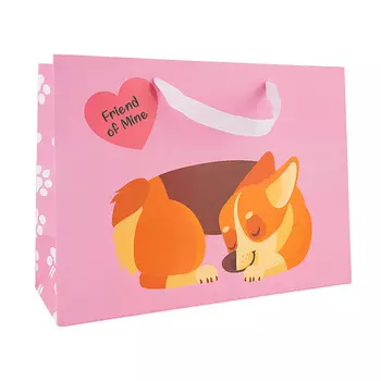 FRIEND OF MINE Подарочный пакет