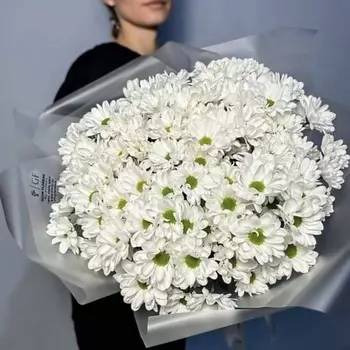 GLOW FLOWERS Большой букет кустовой хризантемы, нежная хризантема,живые цветы