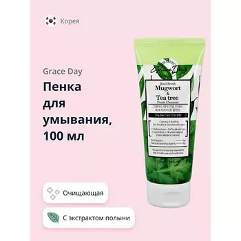 GRACE DAY Пенка для умывания с экстрактом полыни и чайного дерева 100.0