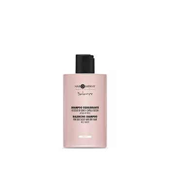 HAIR COMPANY Балансирующий шампунь для сухих волос CRONO AGE 300.0